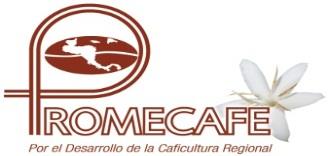 INFORME ESPECIAL América Central Marzo 201 MENSAJES CLAVES A pesar de una leve recuperación, la roya del café sigue afectando la región A pesar de un incremento de la producción del 4 a 20 por ciento