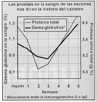 21 Figura 1. Figura 2. Concentración de PT a través del tiempo Concentración de PT a través del tiempo Figura 1. KERTS (2006) Figura 2.