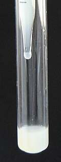 VISCOSIDAD Goteo libre desde pipeta Filamento < 2cm Filancia con varilla de vidrio