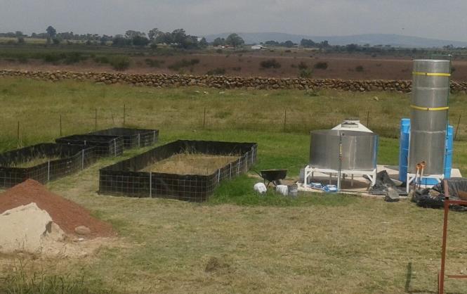 1.- Adaptación y evaluación de la eficiencia de diferentes procesos aeróbicos en aguas residuales provenientes de biodigestores anaeróbicos de granjas de cerdos.