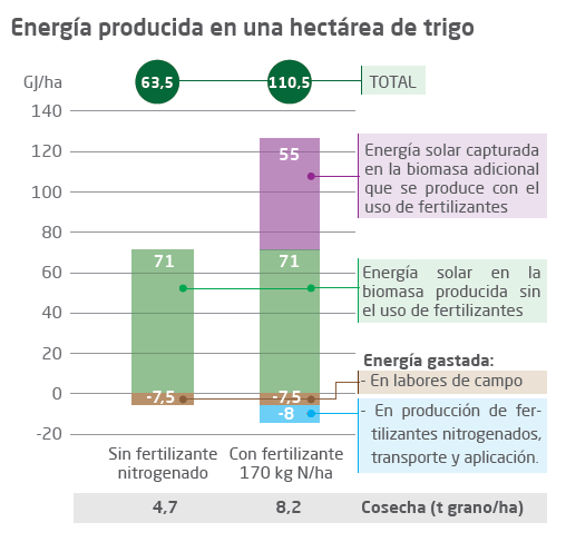 LOS ABONOS MINERALES MEJORAN EL BALANCE ENERGÉTICO Fuente: Küsters & Lammel La biomasa adicional producida gracias a la aplicación de fertilizantes captura más energía solar, que la empleada en la