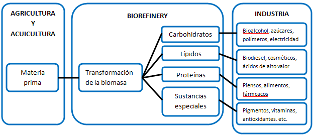 Viabilidad a corto y medio plazo Biorefinería: es una estructura que integra procesos de conversión de