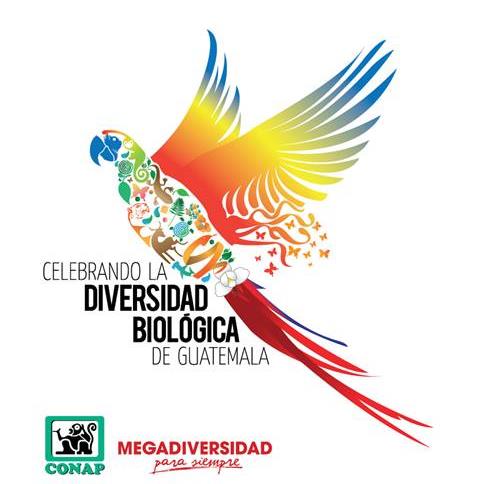 Antecedentes Guatemala forma parte desde el año 2010 del Grupo de Países Megadiversos