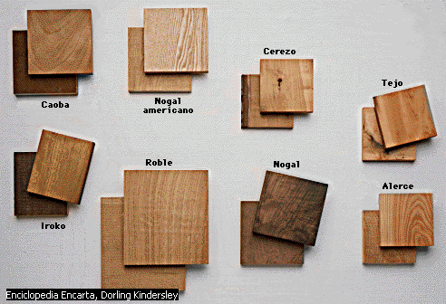 PREGUNTAS Cuál es la clasificación de la madera, de acuerdo a su resistencia? Cuáles son las uniones mas usadas en la madera? Qué es la madera?