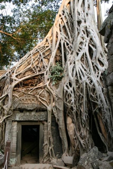Día 16 - El templo hermano de la jungla Salimos de madrugada a Angkor wat para ver la salida del sol tras las torres del impresionante templo. La experiencia es única si la mañana está despejada.