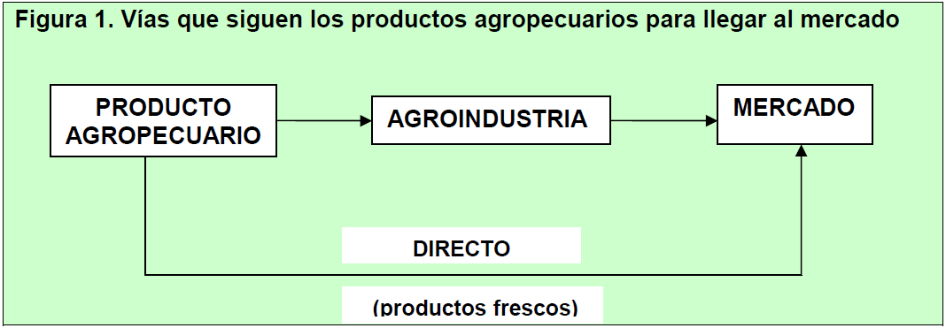 La Comercialización Combinación de actividades o pasos para llevar los productos desde el lugar de producción hasta donde se venden.