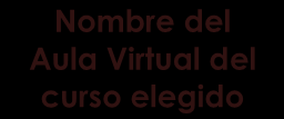 Nombre del Aula Virtual del curso elegido Fig. 17: Enlace correspondiente al aula del curso a ingresar. 3.