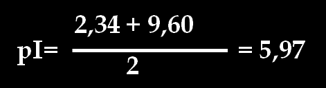 CÁLCULO DEL pi DE UN AMINOÁCIDO En cualquier aminoácido el punto isoeléctrico se calcula con los pka vecinos al zwitterion (carga eléctrica = cero) y es el resultado de la semisuma de estos.