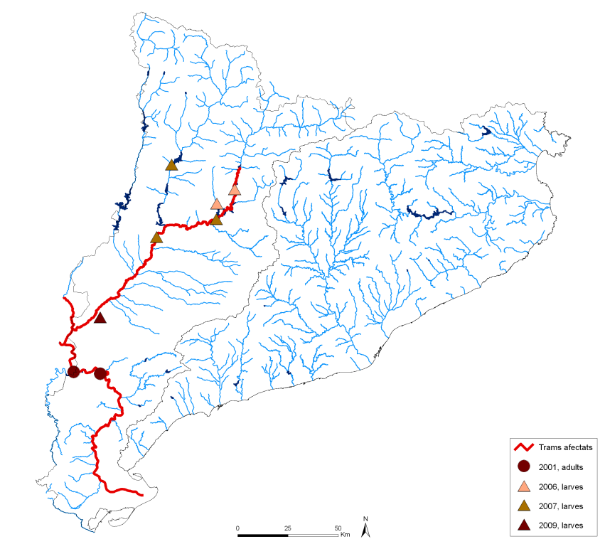 M.3 Masas de agua afectadas por el mejillón cebra (2009) Se indica el año de detección de larvas o adultos por parte de la Agencia o de la Confederación hidrográfica del Ebro.
