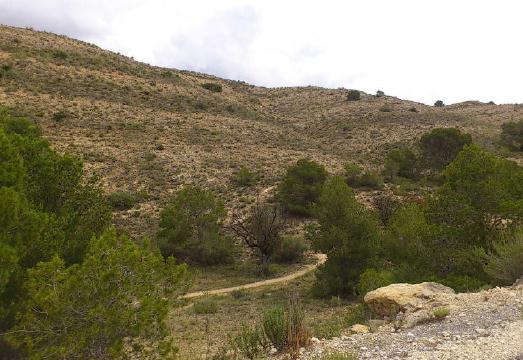 > Cartera de Suelo > HARVEST < Hacienda el Sabinal En El Sabinal, en la comarca Serra Pelada o Alicantí.