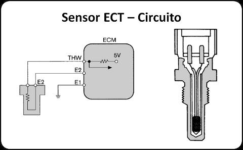 Descripción: El sensor ECT responde a los cambios en la temperatura del motor mediante la medición de la temperatura del refrigerante, de esta manera la ECU conoce la temperatura media del motor.