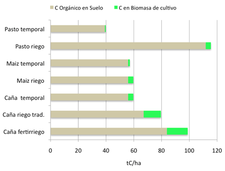 Figura 95. Contenidos de C orgánico en suelos y cultivos. La Línea de Base de emisiones no incluyó las emisiones debidas al CUSd, porque no son significativas.