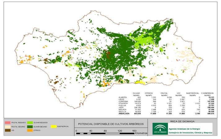 BIOMASA Potencial de la biomasa El mapa del olivar de Andalucía.