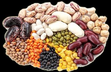 Consejos prácticos a la hora de la toma de alimentos Hidratos de carbono (pasta, arroz, cereales y legumbres) Se encuentran en la base de la pirámide alimenticia Durante la temporada tendremos unas