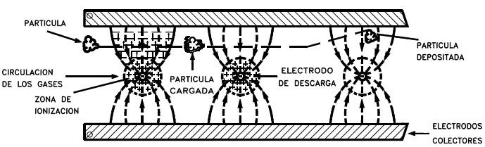 2. CONFIGURACIÓN DEL EQUIPO Y PRINCIPIO DE OPERACIÓN Electrodo