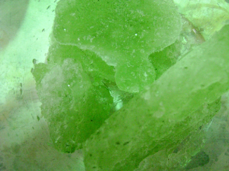 79 ANEXO 3: FOTOS GENERALES Figura B: Microalgas congeladas Figura A: Microalgas encontradas en terreno