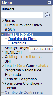 Registro de Firma Electrónica La firma electrónica es una palabra secreta que cada estudiante deberá crear para firmar algunos elementos electrónicos que CONACYT enviará.