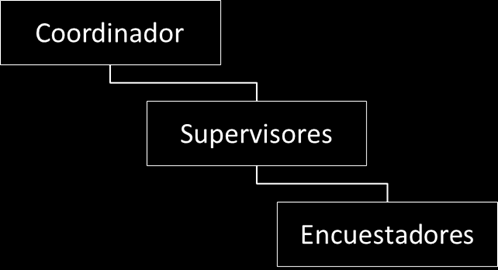V. Para realizar el trabajo de campo se recomienda que el Evaluador Externo considere como mínimo la siguiente estructura operativa: Funciones: a) Coordinador: i.