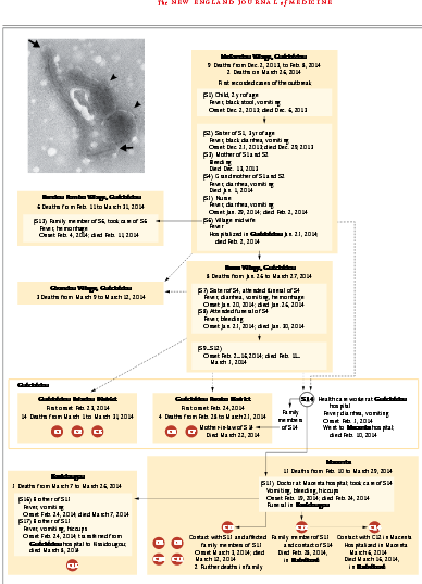 Emergencia del brote de Ébola: Epicentro del brote Guéckédou 9 fallecidos entre Diciembre de 2013 y febrero 2014 Transmisión comunitaria y nosocomial Feb-Marzo: Extensión a Macenta