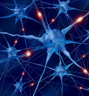 LA P.N.L. Programación Neurolingüística Es un conjunto de métodos y técnicas destinadas a ser aplicadas en la vida cotidiana, para que la persona consiga los objetivos que desea en diferentes campos