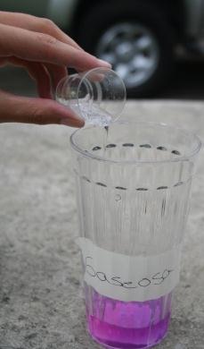 2 Saque cn ls vass de plástic pequeñs el agua mrada y póngal en ls vass grandes. Eche slamente 40 ml (= 2 vasits). Tenga cuidad de sacar slamente agua sin el repll mrad.