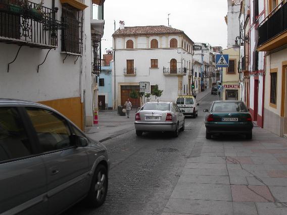 PÁGINA: 9 de 37 Imagen. Adoquín de textura rugosa en la Calle Alfaros, en el centro de Córdoba.