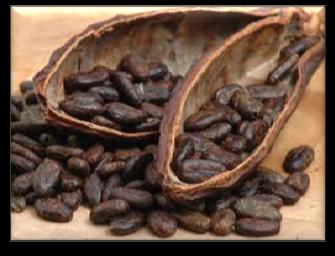 Apoyo a la Producción y Comercialización de Café y Cacao en Junín Entidad: Proyecto: COOPAC La Florida Crediflorida Proyecto de Financiamiento para los Pequeños y Microempresarios Indicadores de la