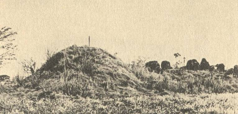 FIGURA 3: La pirámide de Igualtepeque (Boggs 1944).