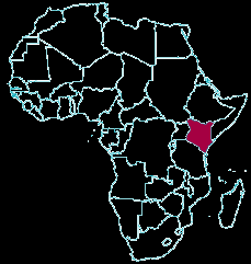 OPORTUNIDADES MACROZONA ESTE Importaciones de Kenia, año 2012 Principales proveedores Vino embotellado N Origen USD Miles % Arancel Aplicado % 2012 1 Sudafrica 5.184 25 51,9% 2 Chile 1.