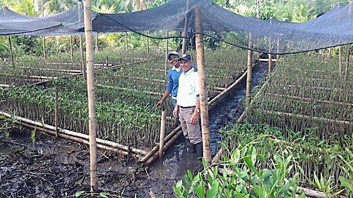 Página: 61 Fecha: 10 de febrero de 2015 Además se implementaron 10 hectáreas de restauración de manglar, para lo cual se estableció un vivero para la producción de 15.