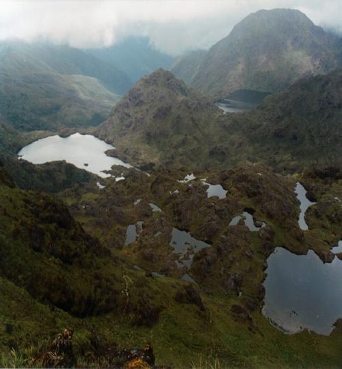 Climático en la biodiversidad en el Ecuador.