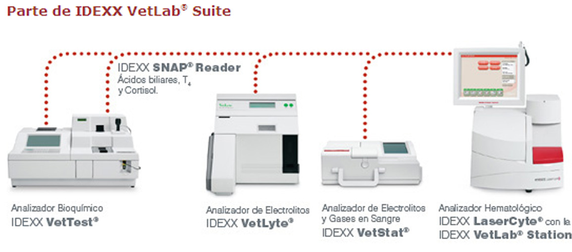 GENERALIDADES Fácil Eficiente Consistente Al conectar el analizador IDEXX VetLab UA a la IDEXX VetLab Station o al ordenador del analizador hematológico LaserCyte se optimizan las prestaciones.