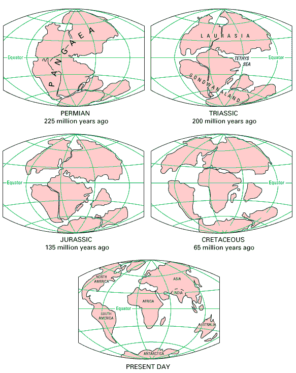 Teoría de Deriva continental (A. Wegener, 1915) Preguntas! 1. Cuántos continentes había en cada era geológica?