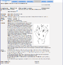 6 Ejemplo: en la solicitud internacional de patente que figura en la página siguiente se indica la clasificación de la CIP: A63B 71/14 Body-protectors for players or sportsmen, for the hands. Otros.