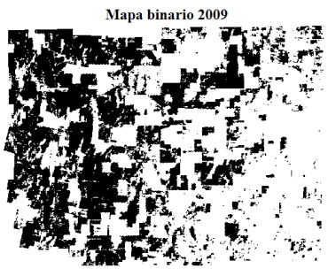 En la figura 5 se puede observar mediante mapas binarios la evolución espacio temporal de las tierras forestales que tuvo lugar desde el año 2000 al 2009. Figura 5. Mapas binarios de NDVI-MODIS.
