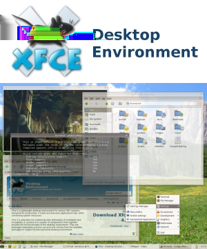 XFCE Tipos de Software Gnome KDE XFCE FluxBox Xfce (X Free Choresterol Environment) es un entorno de escritorio ligero.