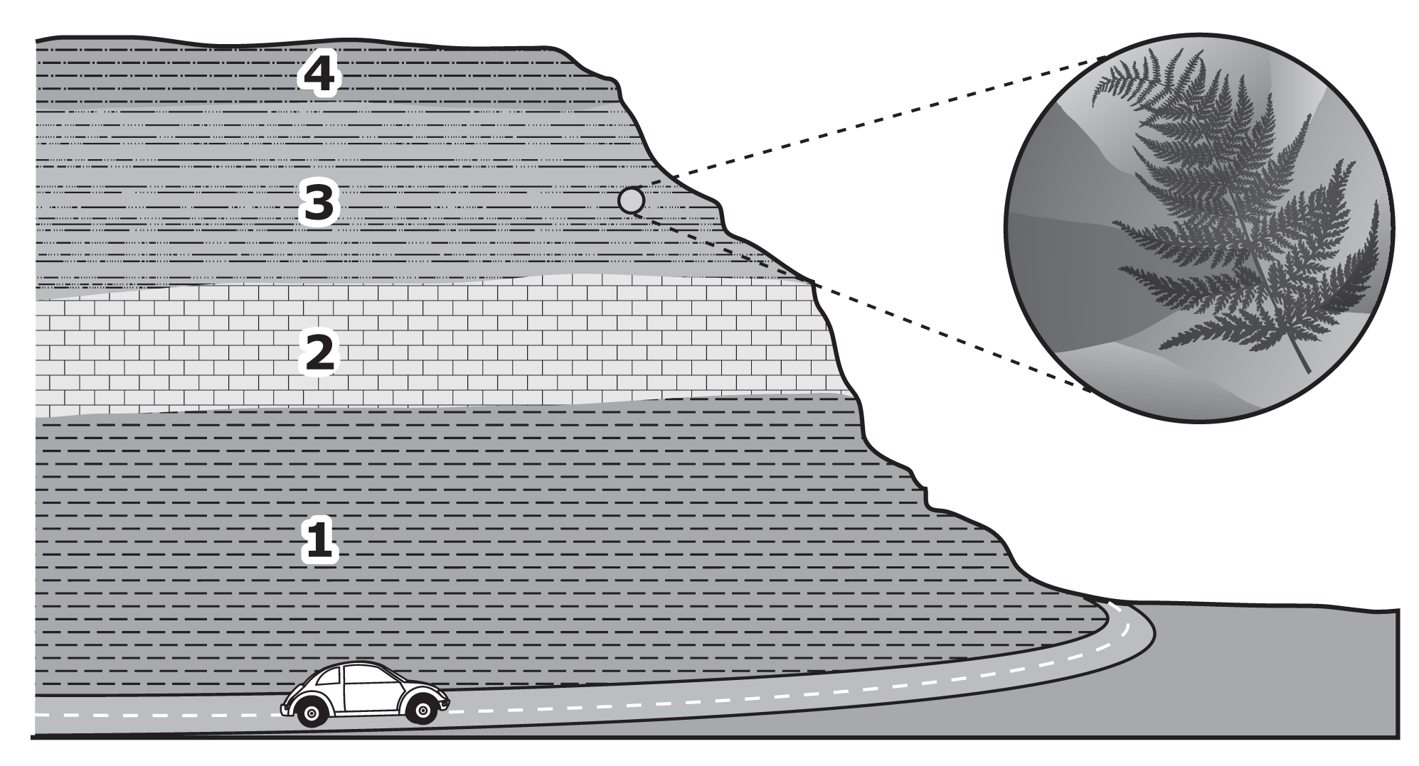 9 El siguiente diagrama muestra capas de roca junto a una carretera.