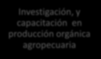 PRODUCCIÓN ORGÁNICA EN EL ECUADOR AGROCALIDAD Control de la certificación de productos orgánicos MINISTERIO DE AGRICULTURA, GANADERÍA, ACUACULTURA Y PESCA SUBSECRETARIA DE AGRICULTURA INSTITUTO