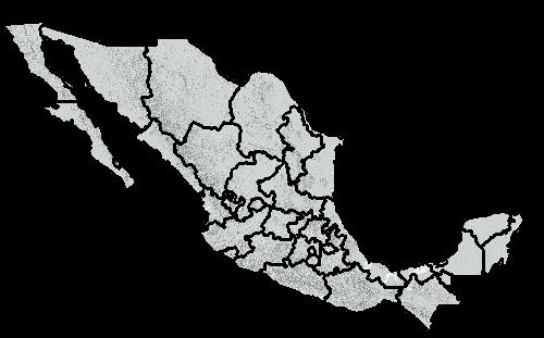Región de Estudio El estado de Tlaxcala se localiza geográficamente en la región Centro-Oriental de la República Mexicana.