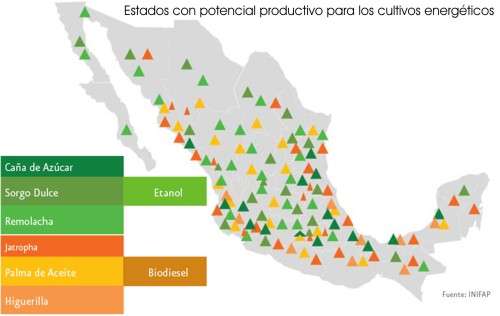 Estados con Potencial productivo de cultivos energéticos El sureste