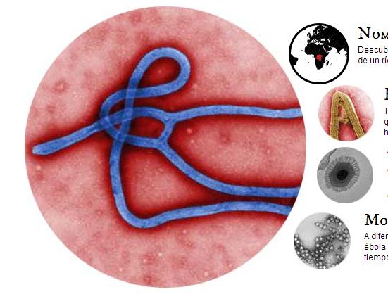 Qué sabemos del virus del Ébola? Nombre Descubierto en 1976 en dos brotes simultáneos, recibe su nombre de un río de la República Democrática del Congo (antigua Zaire).