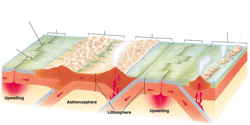Teoría de Tectónica de Placas Tipos de bordes o límites de placas Mid-oceanic ridge Transform plate boundary Divergent plate boundary