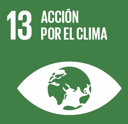 Adoptar medidas urgentes para combatir el cambio climático y sus efectos* 13.
