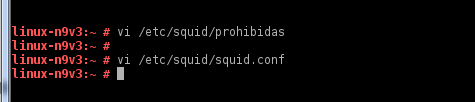 3- Crea tu lista, según tus necesidades; luego haz click en Guardar y cierra la ventana. Ahora debemos de modificar el archivo que regula la configuración del servidor proxy Squid.