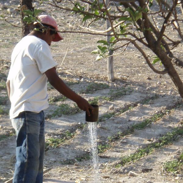 Bawí Raramuri a partir del manejo integral de cuencas Buscamos ofrecer alternativas para revertir el daño ecológico, solucionar la escasez de agua y aumentar la disponibilidad para uso doméstico y