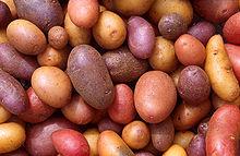 Patatas Las patatas, uno de nuestros alimentos básicos, se usan en diferentes platos. Forman parte de la comida tradicional y tienen un alto componente nutritivo.