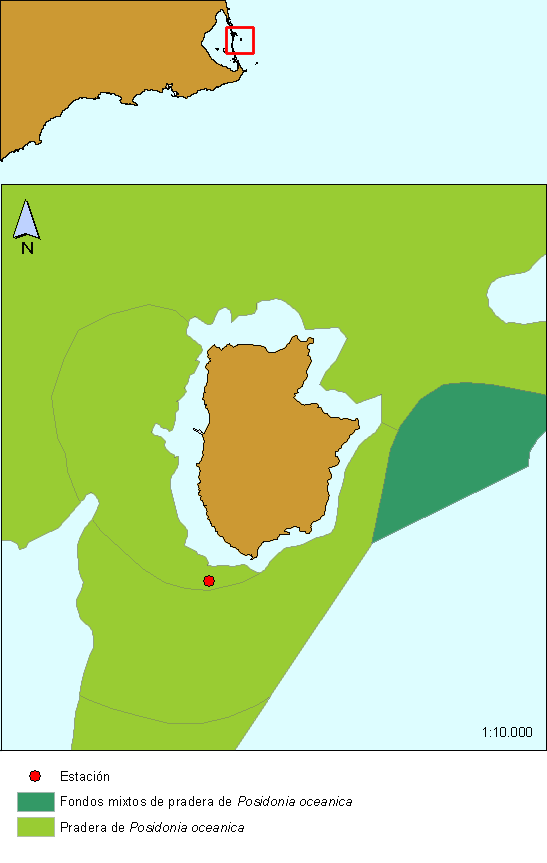ESTACIÓN 17: ISLA GROSA - CAULERPA (SAN PEDRO DEL PINATAR) Figura 24. Localización de la estación de muestreo Isla Grosa - Caulerpa.