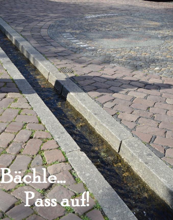 que corren por todo Freiburg. Estos canales, o Bächle en alemán, eran usados como medida preventiva contra el fuego.