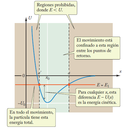 La curva de energía potencial Curva de energía potencial para un átomo en una molécula diatómica.