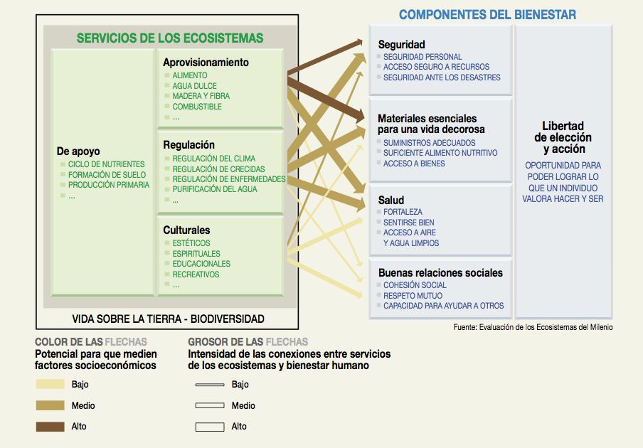 Evaluación de Ecosistemas del Milenio (2005).